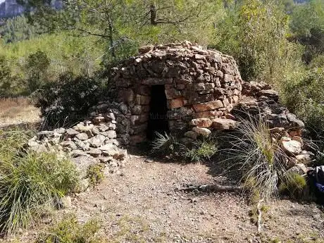 Photo de Barraca de Vinya de la Vall d'Arús