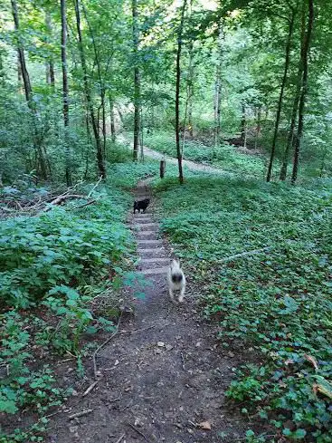 Talweiher Nature Reserve
