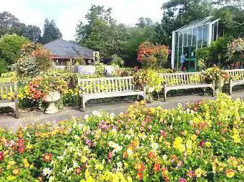 Swansea Botanical Gardens
