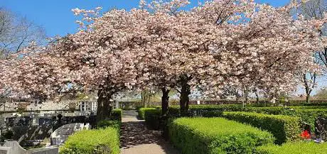 Photo de geboortepark