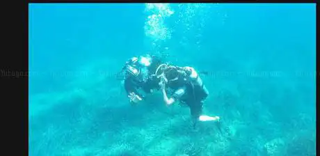 Breath & Rebreath