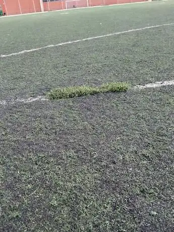 Photo de Campos de Fútbol