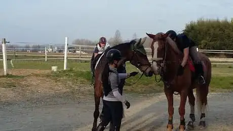 La Bollenghina asd