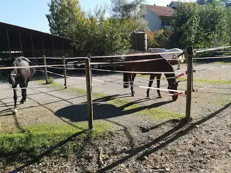 Reitstall Buchenwald-Kunz Lotti