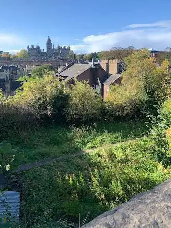 Photo de Johnston Terrace Garden