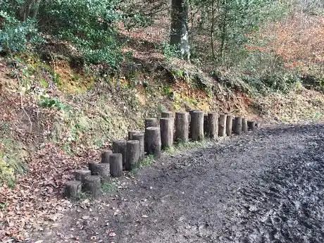 Photo de Woodchester Park Play Trail
