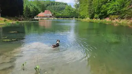 Etang de la Papiermüehle