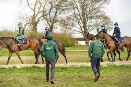 Photo de Minster Equine Practice Poppleton