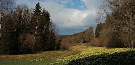 Photo de Vallée de la Holzwarche