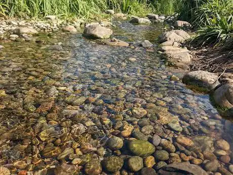 Nauls Mill Underpark