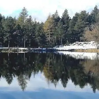 Photo de Lac de Calvet
