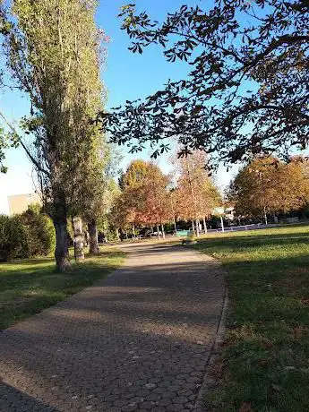 Albero d'oro