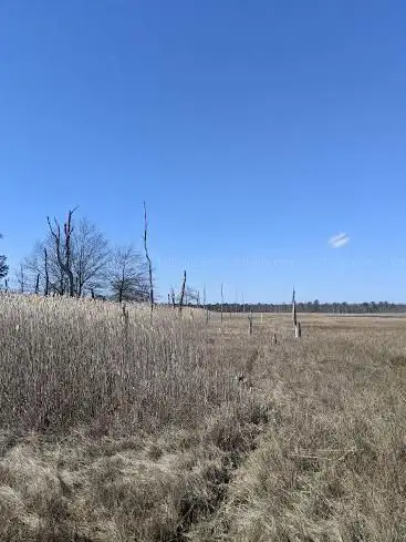 Photo de Natural Lands' Glades Wildlife Refuge