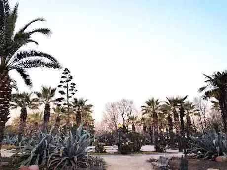 Photo de Jardin des Palmiers