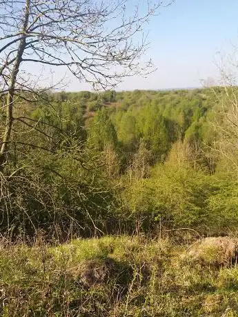 Fauld Crater