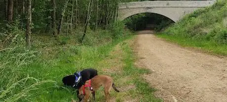 La Ligne Verte Secteur Loudunais