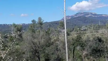 Photo de Parc Agrari de Sabadell