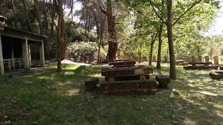 Photo de Ãrea Recreativa La Condesa