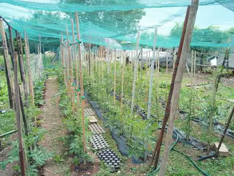 Photo de Campo Sportivo