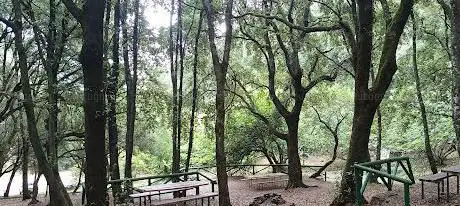 Area attrezzata per il picnic di Is Figueras
