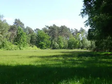 Bossen van Schoonbeek