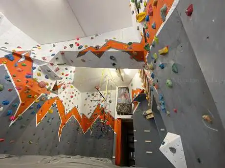 Rock Monkey