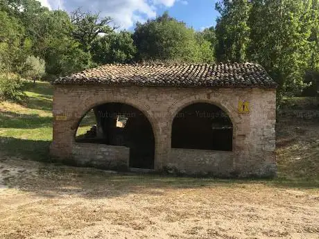 Photo de Cripta Beato Alano