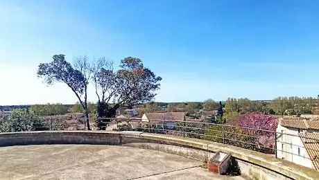 Photo de Motte Garden
