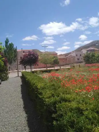 Photo de saludable Park
