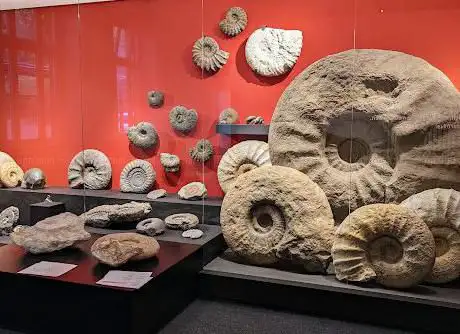 Mineralien-Museum