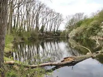 Blarewater