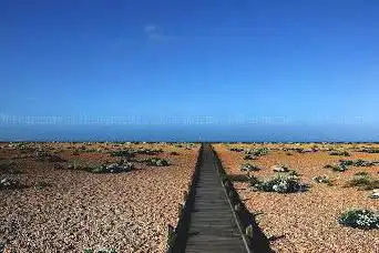 Photo de Dungeness National Nature Reserve