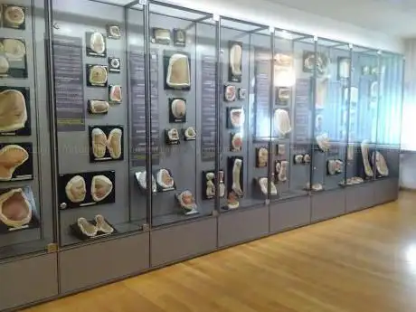 Moulagenmuseum