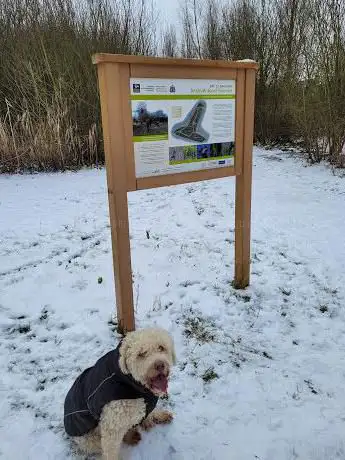 Photo de Hanwell Brook Wetland