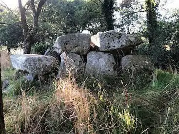 Photo de Dolmen de Roch-Feutet