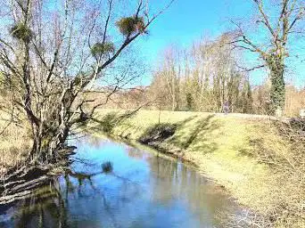 Rheinauewald Diersheim