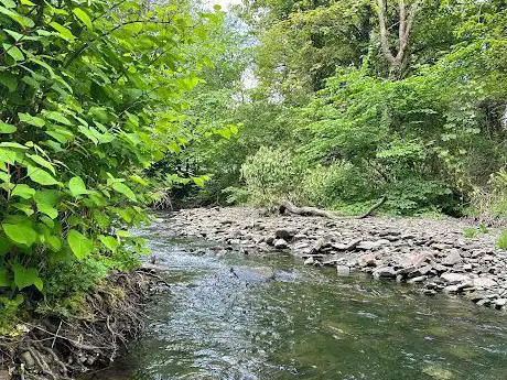 Melincourt Falls