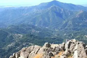 U San Petrone