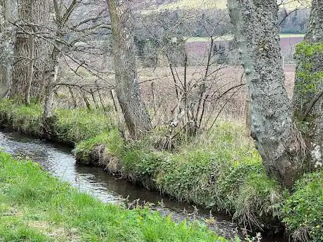 Photo de Silver Walk