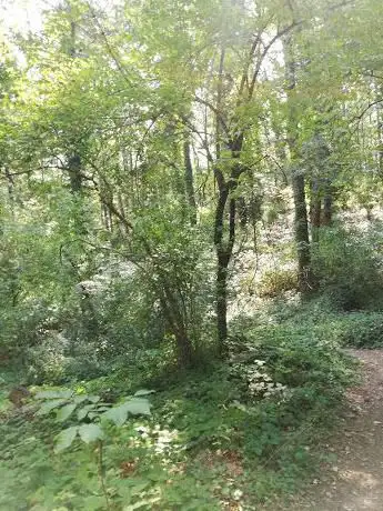 Photo de Riserva Naturale Fario