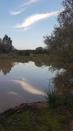 Photo de Dehesa la Atalaya