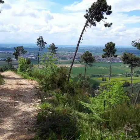 Photo de Località i Fichi