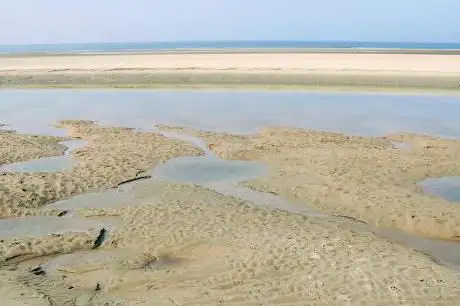 Photo de Verklikkerplaat - Zandbank en rustplaats voor Zeehonden