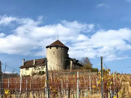 Photo de Château de la tour Bertholod