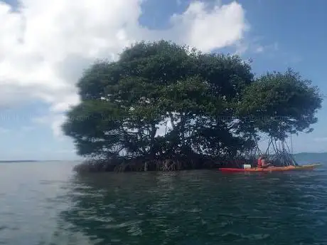 Photo de Tam Tam Pagaie Paddle