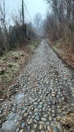 Inizio passeggiata per la Chiesa di San Michele alle Verzole