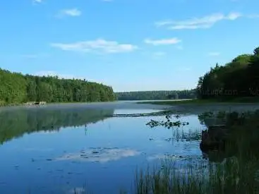 Photo de Black Moshannon State Park