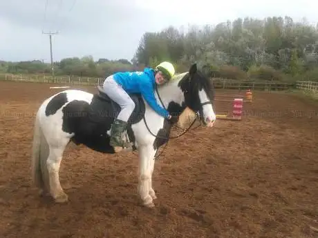 Normanby Park Riding School
