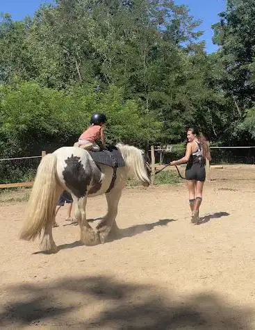 Photo de Horse Side