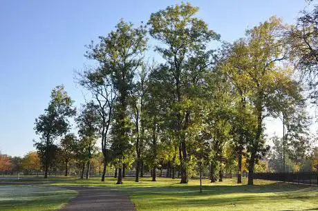 Photo de Dassie Park